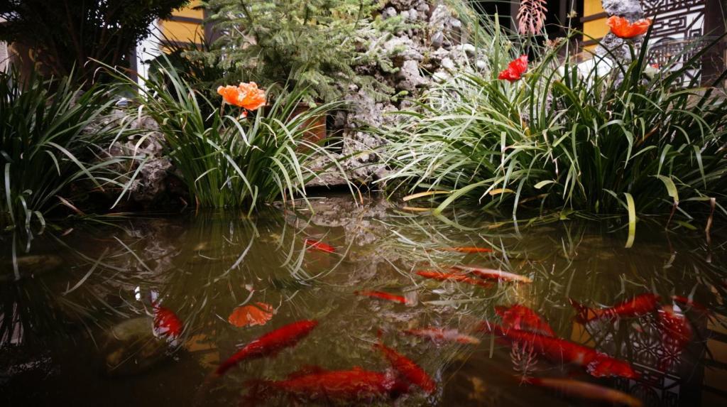 Lijiang Wangjia Courtyard Inn Exterior photo